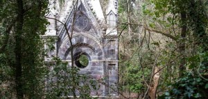 | #BELLEZZEDELLATUSCIA | Il Bosco monumentale del Sasseto - TORRE ALFINA
