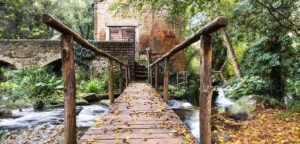 | #BELLEZZEDELLATUSCIA | Parco regionale Valle del Treja - CALCATA, MAZZANO ROMANO