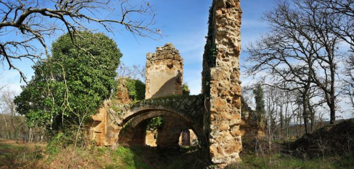 Bosco di piantorena