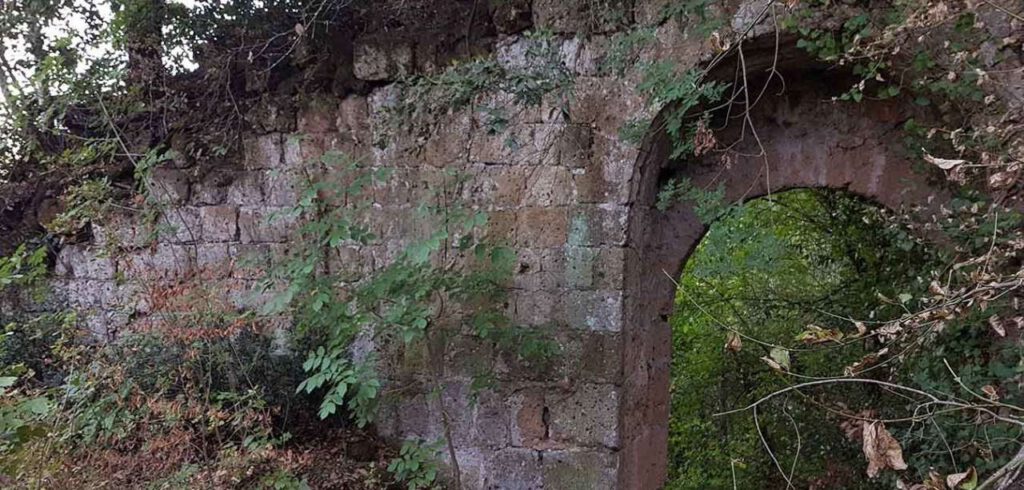 | #BORGHIDELLATUSCIA | Faleria