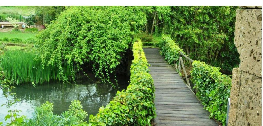 | #BELLEZZEDELLATUSCIA  | MARTA - Il Giardino della Cannara