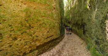 Eventi della Tuscia