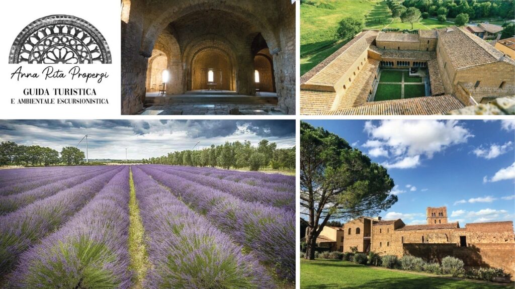 | 20,21 GIUGNO 2026 | TUSCANIA - Seguendo la via dei monaci dall'Abbazia di S. Giusto ai campi di lavanda al tramonto