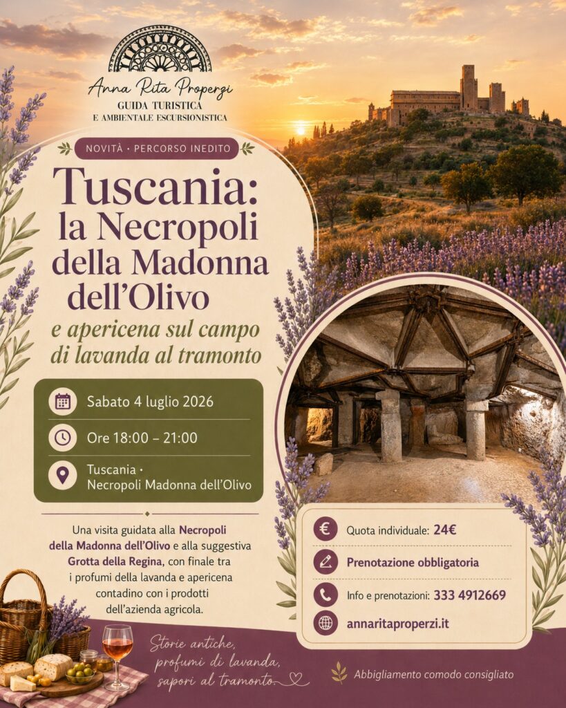 | 4 LUGLIO 2026 | TUSCANIA - Con Anna Rita Properzi visitiamo la Necropoli della Madonna dell'Olivo e i campi di lavanda con apericena al tramonto