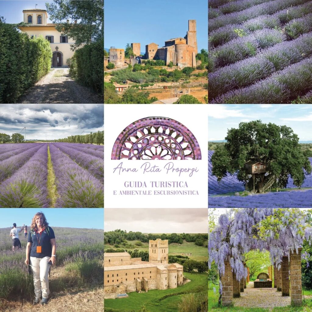 | 13 GIUGNO 2026 | TUSCANIA - Con Anna Rita Properzi  visitiamo le necropoli rupestri con finale al tramonto nei campi di lavanda del pianoro etrusco!