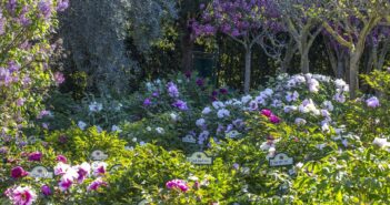 Eventi della Tuscia